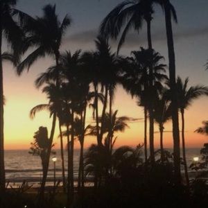 Meet your Posher, Luann